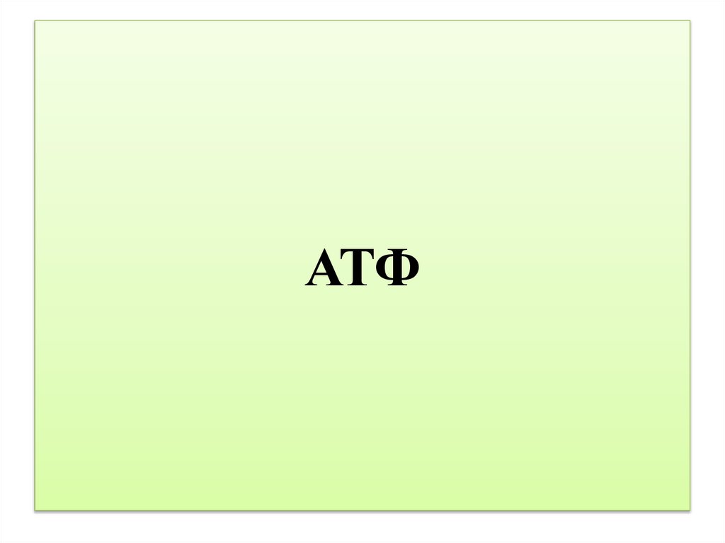 АТФ