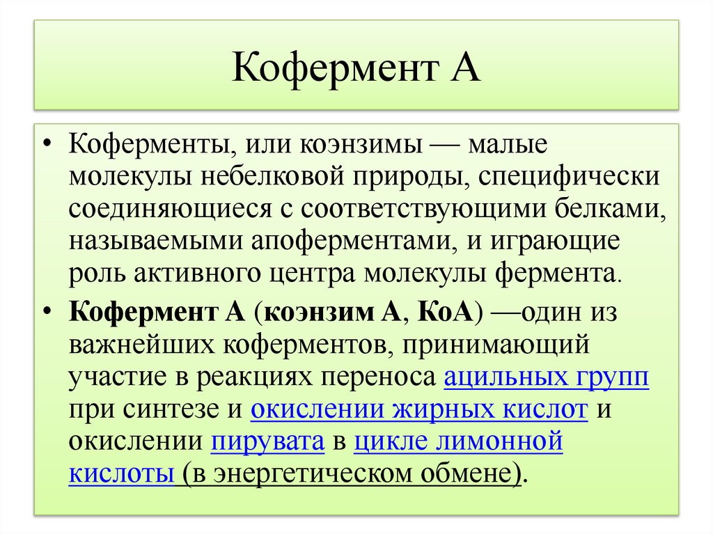 Кофермент А