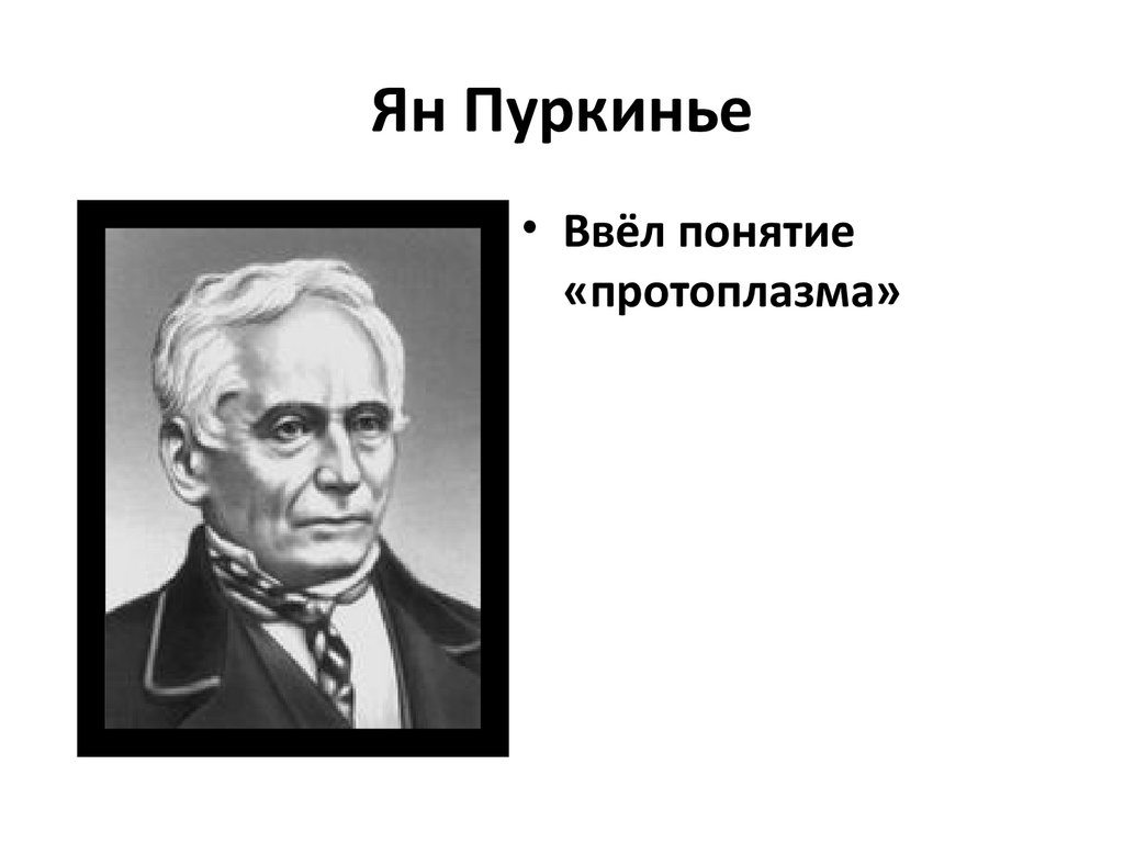 Ян Пуркинье