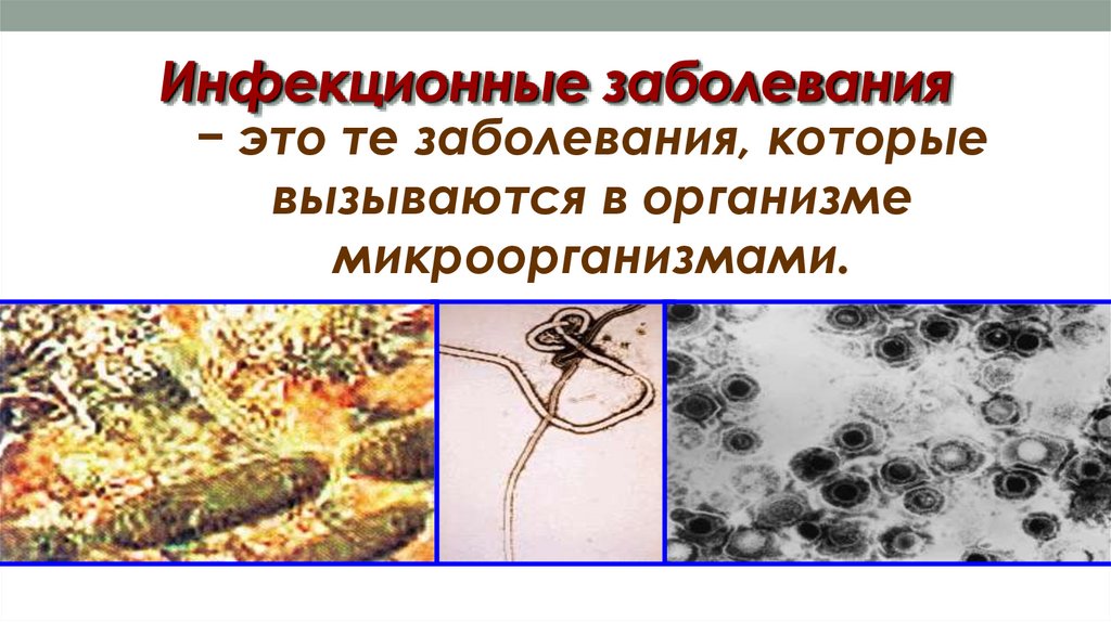 Инфекционные заболевания