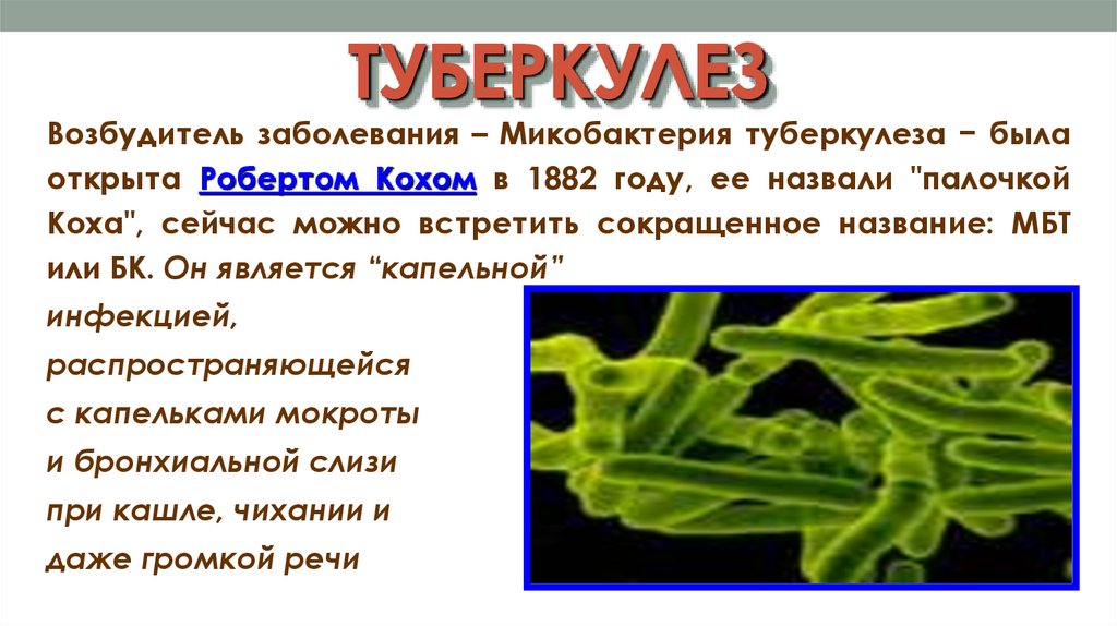 ТУБЕРКУЛЕЗ