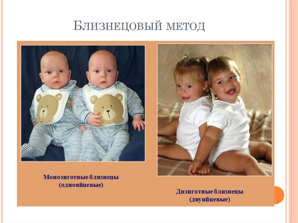 Близнецовый метод
