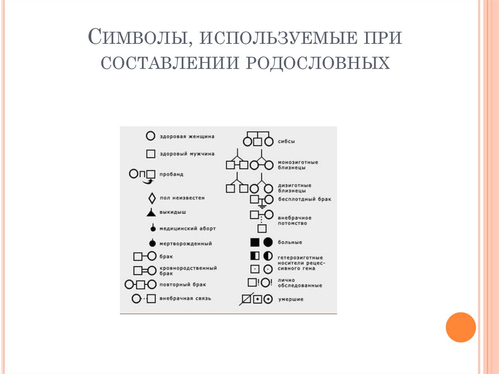 Символы, используемые при составлении родословных