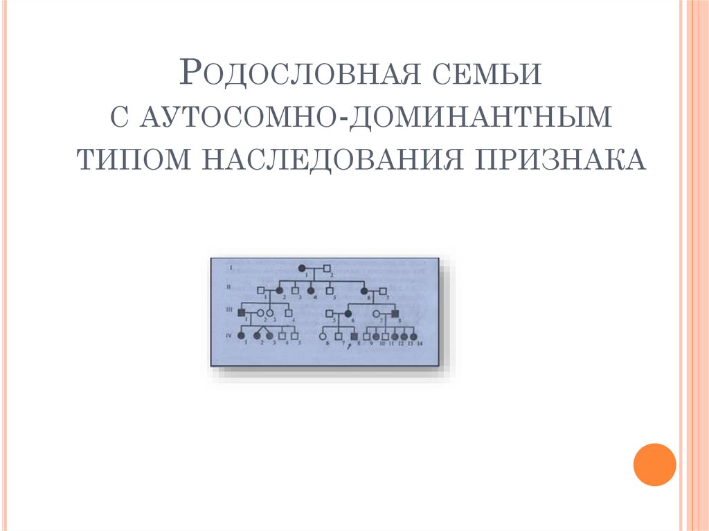 Родословная семьи с аутосомно-доминантным типом наследования признака