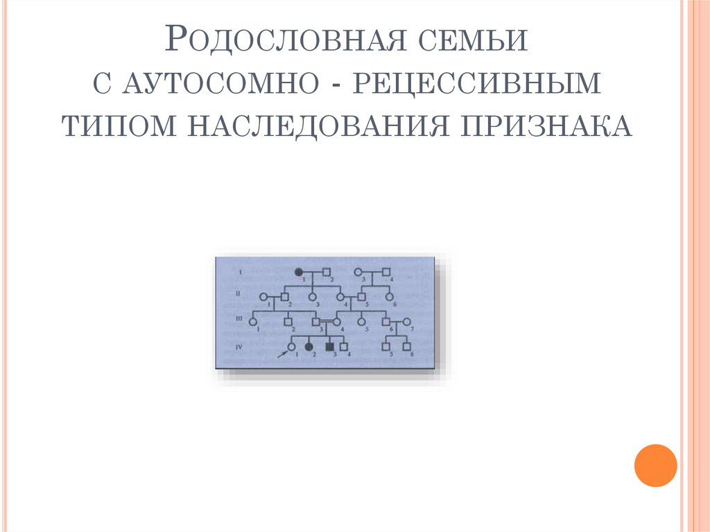 Родословная семьи с аутосомно - рецессивным типом наследования признака