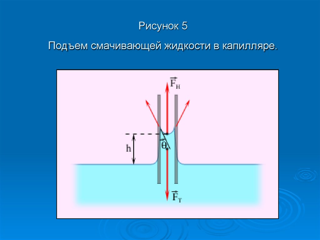 Рисунок 5 Подъем смачивающей жидкости в капилляре.