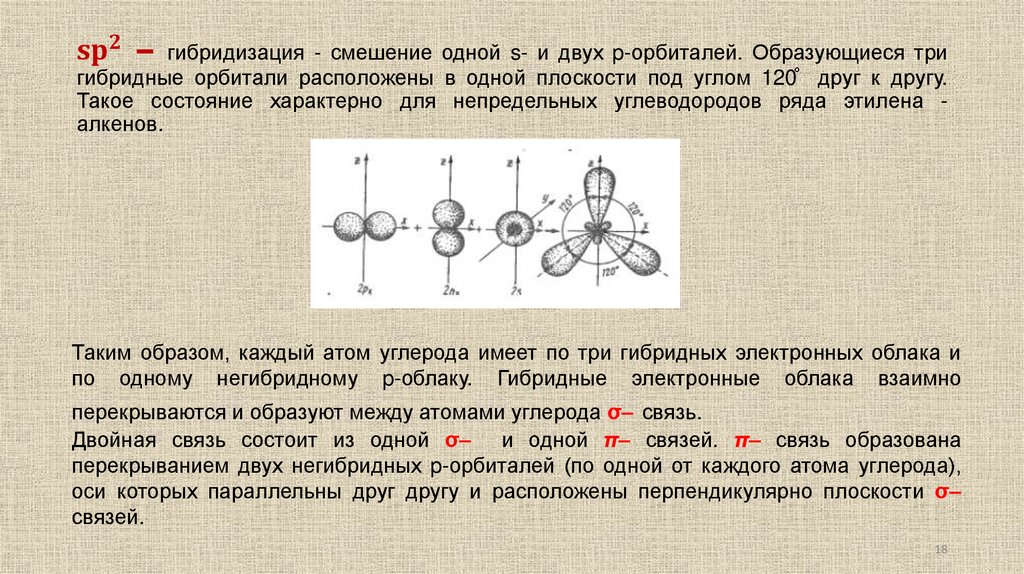 〖sp〗^2 ‒ гибридизация - смешение одной s- и двух p-орбиталей. Образующиеся три гибридные орбитали расположены в одной плоскости