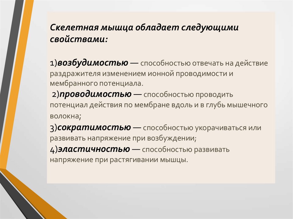 Скелетная мышца обладает следующими свойствами: 1)возбудимостью — способностью отвечать на действие раздражителя изменением