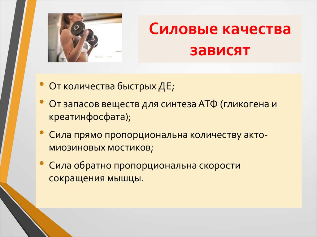 Силовые качества зависят