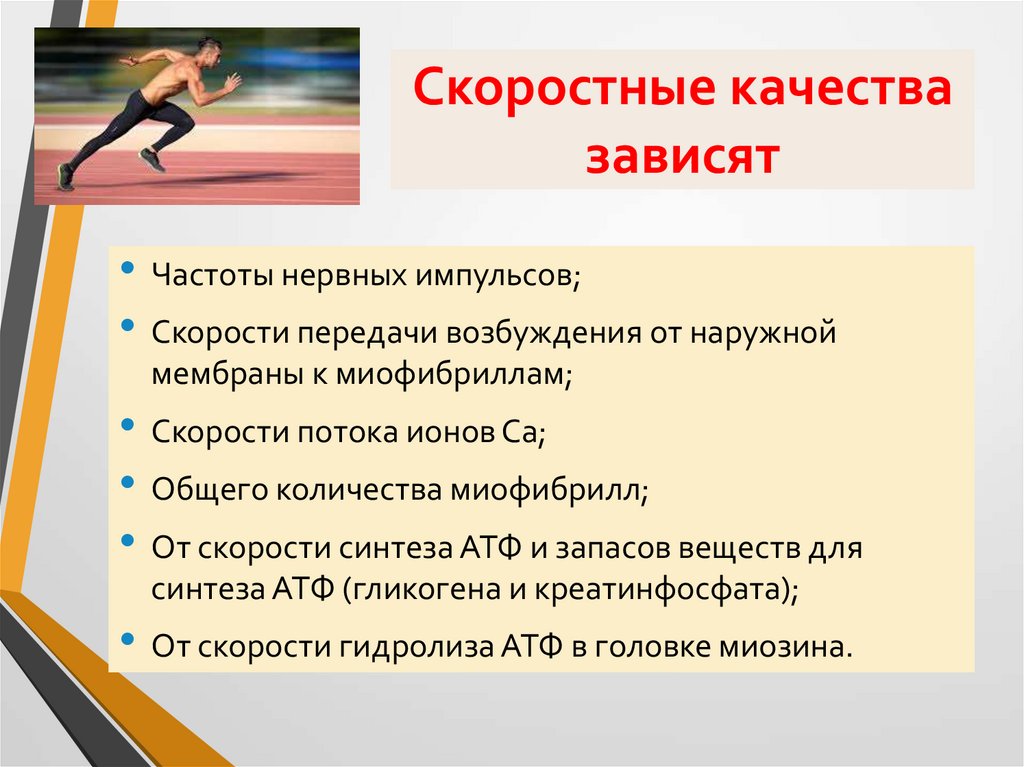 Скоростные качества зависят