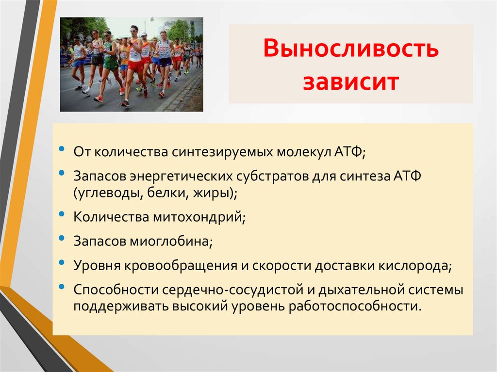 Выносливость зависит