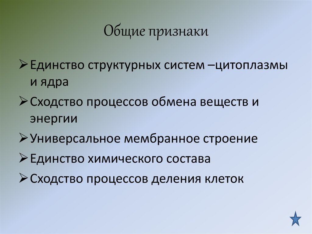 Общие признаки