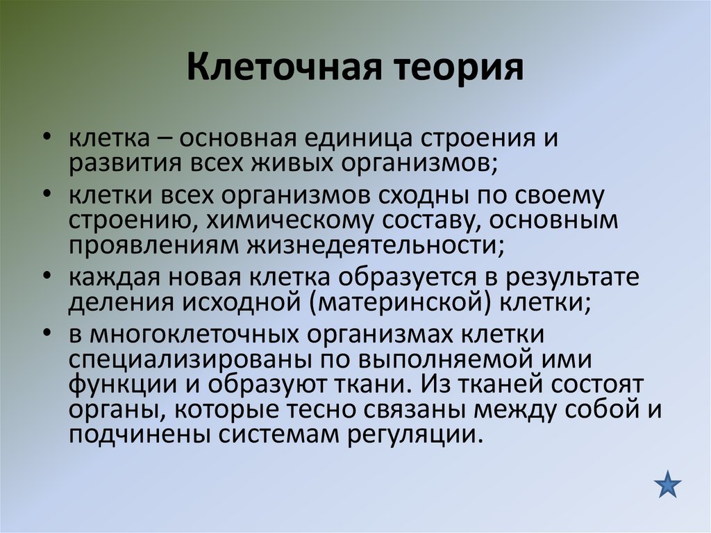 Клеточная теория