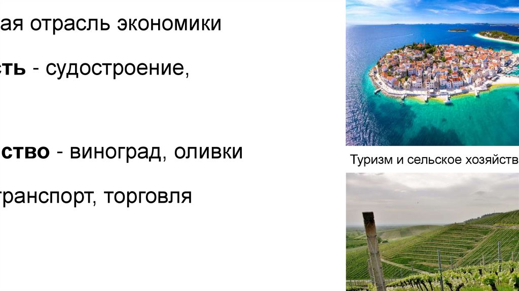 Хозяйственная деятельность и ведущие отрасли