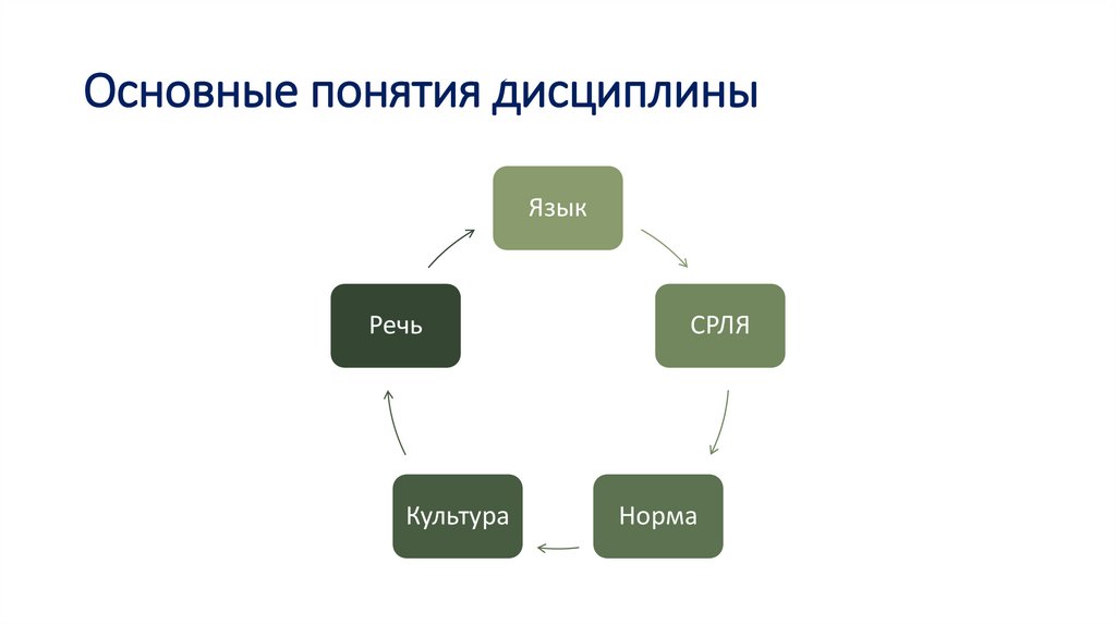 Основные понятия дисциплины