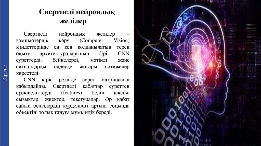 Свертпелі нейрондық желілер