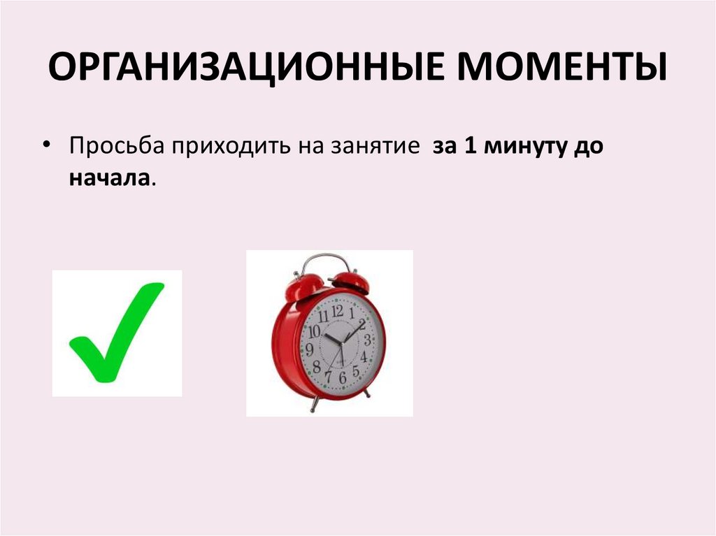 ОРГАНИЗАЦИОННЫЕ МОМЕНТЫ