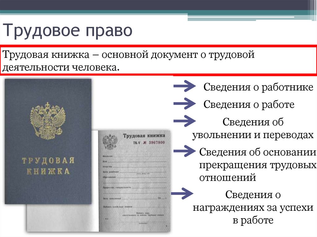 Трудовое право