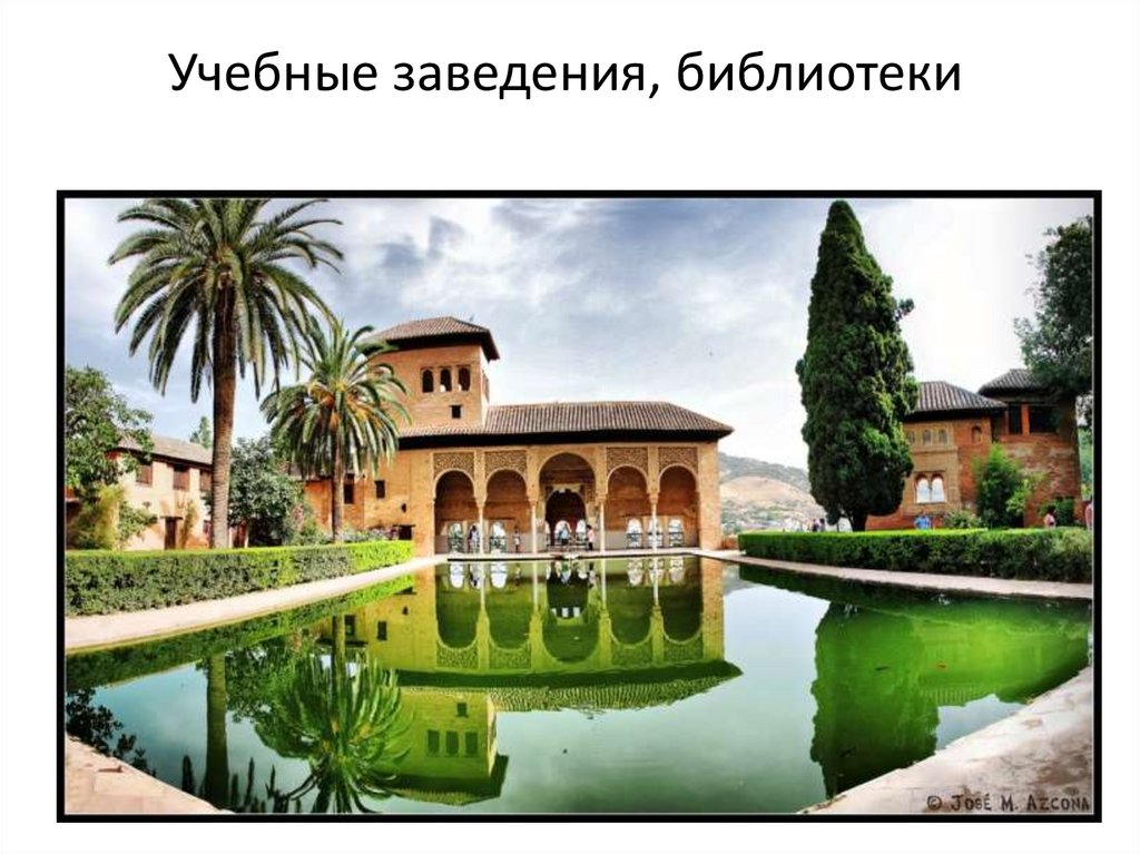 Учебные заведения, библиотеки