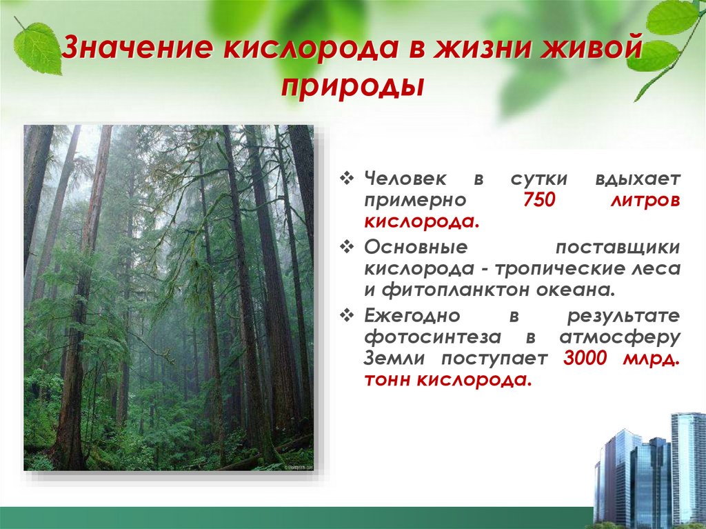 Значение кислорода в жизни живой природы