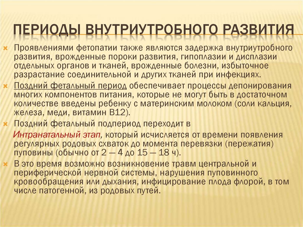 Периоды внутриутробного развития