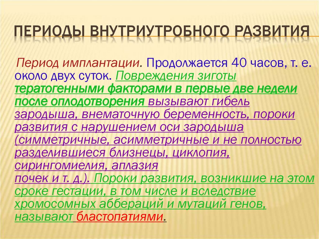 Периоды внутриутробного развития
