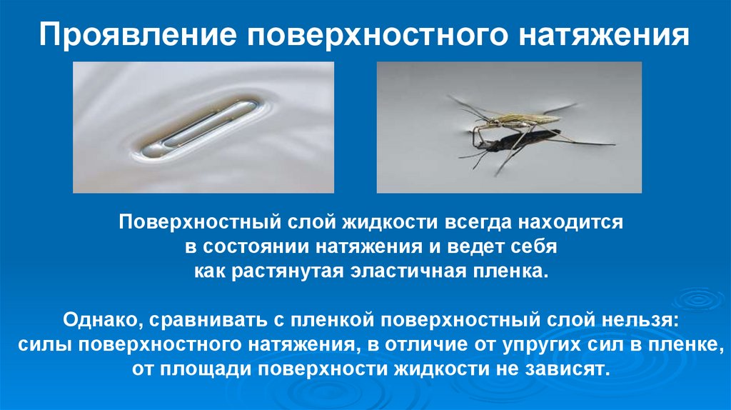 Проявление поверхностного натяжения