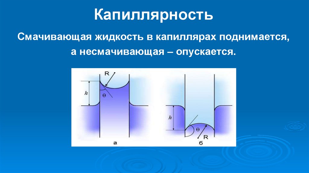Капиллярность