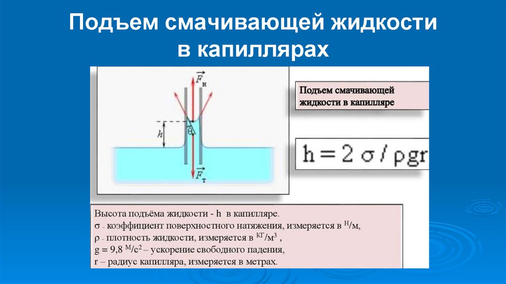 Подъем смачивающей жидкости в капиллярах