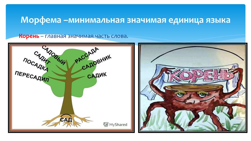 Морфема –минимальная значимая единица языка