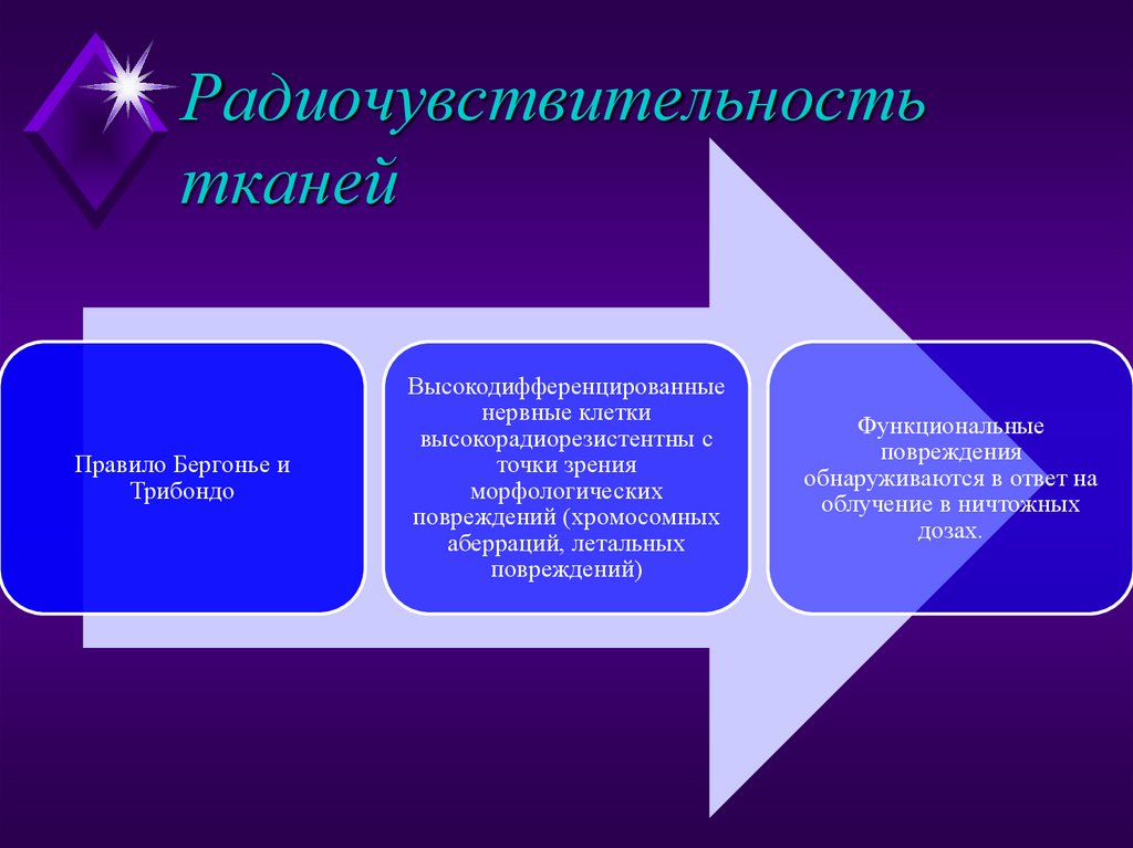 Радиочувствительность тканей