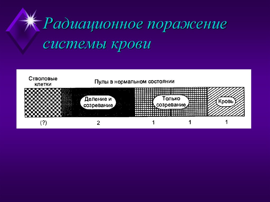 Радиационное поражение системы крови