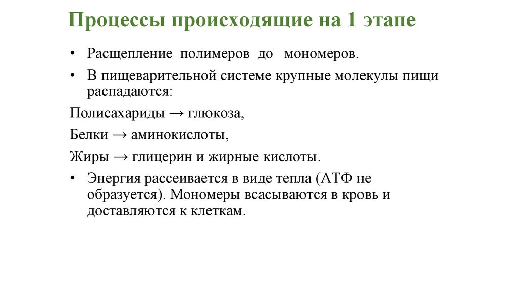 Процессы происходящие на 1 этапе