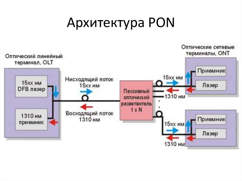 Архитектура PON