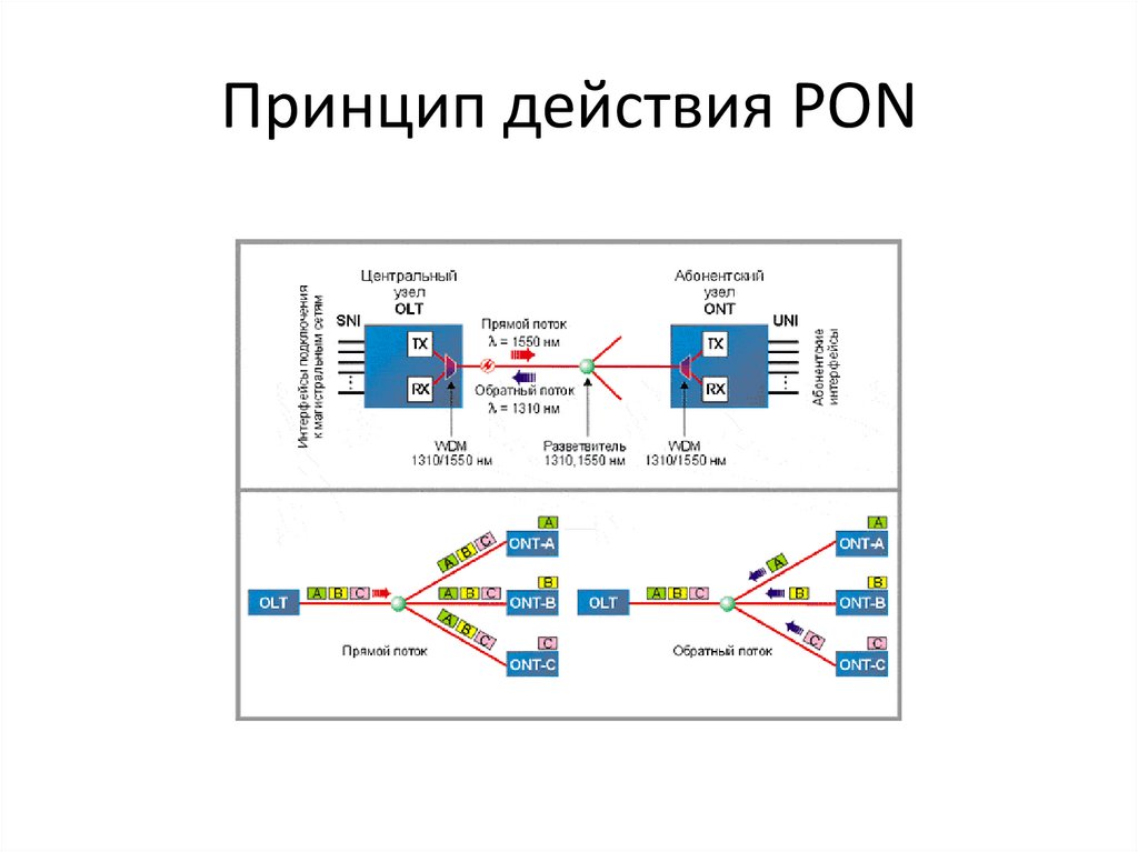 Принцип действия PON