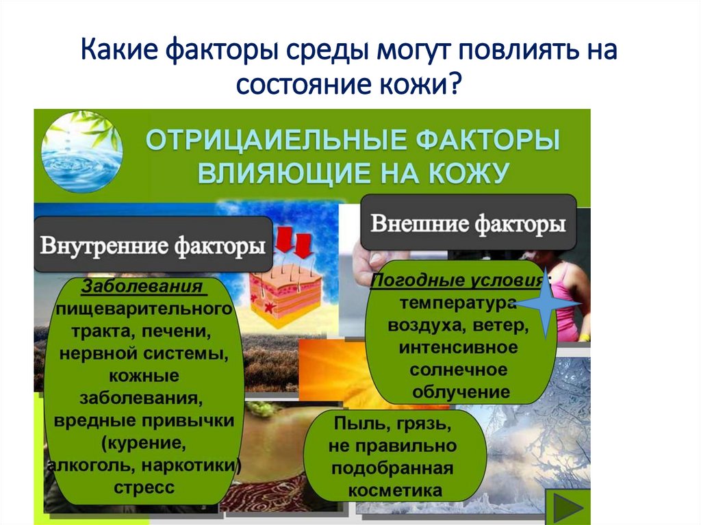 Какие факторы среды могут повлиять на состояние кожи?