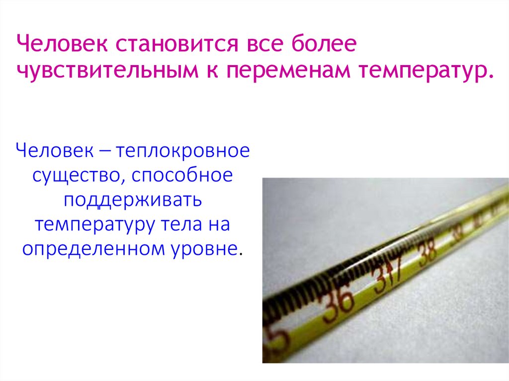 Человек – теплокровное существо, способное поддерживать температуру тела на определенном уровне.
