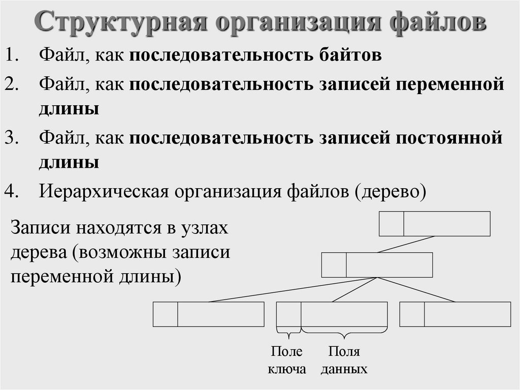 Структурная организация файлов