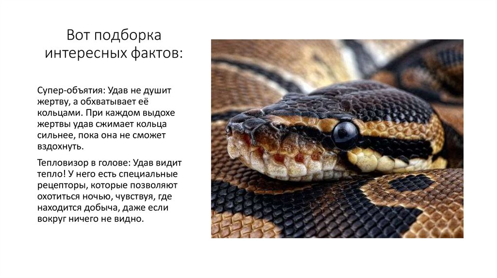 Вот подборка интересных фактов: