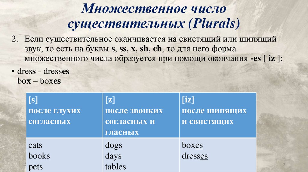 Множественное число существительных (Plurals)