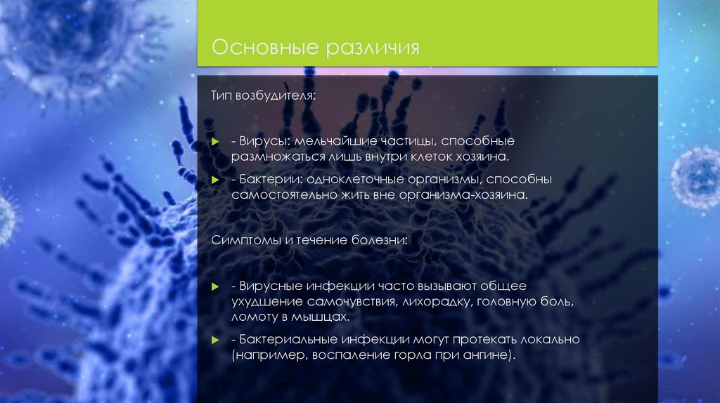 Основные различия