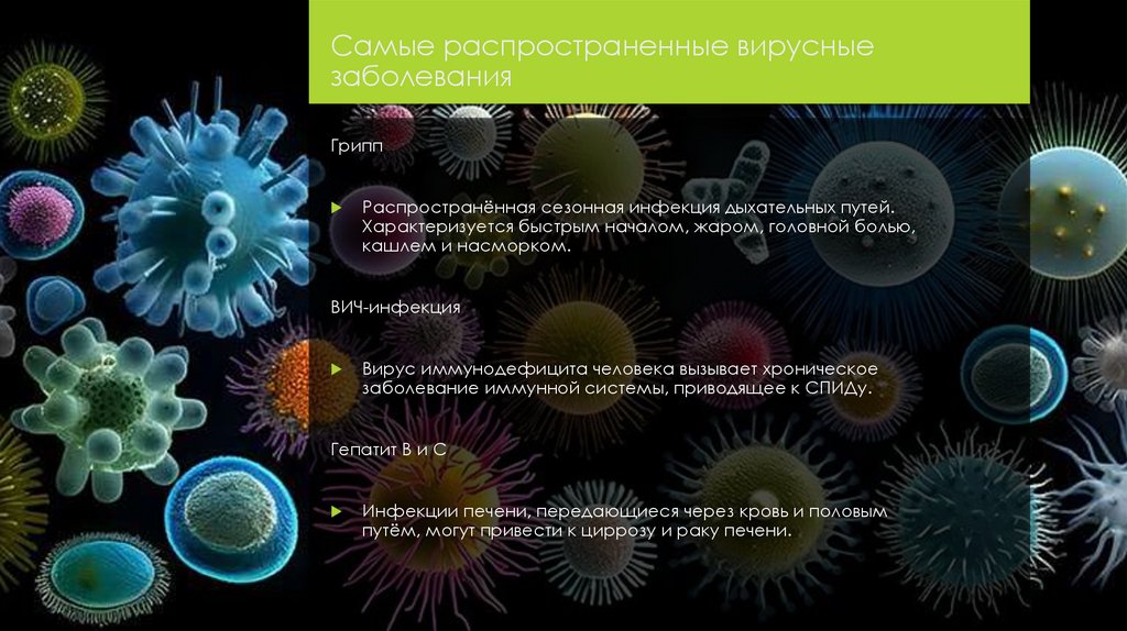 Самые распространенные вирусные заболевания