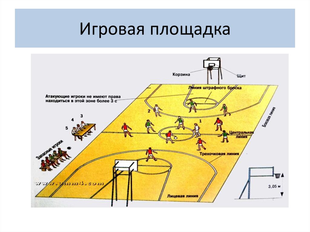 Название линий ограничивающих игровую площадку. Название линий ограничивающих игровую площадку