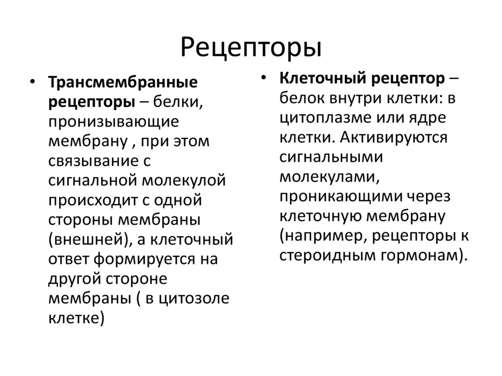 Рецепторы