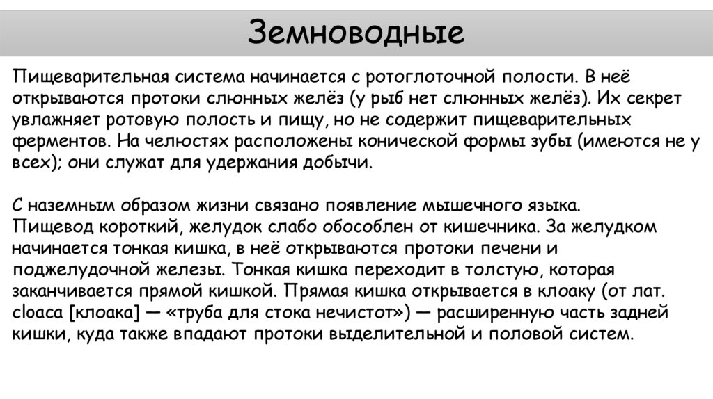 Земноводные