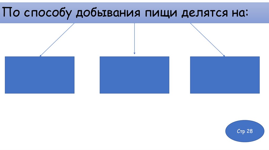 По способу добывания пищи делятся на: