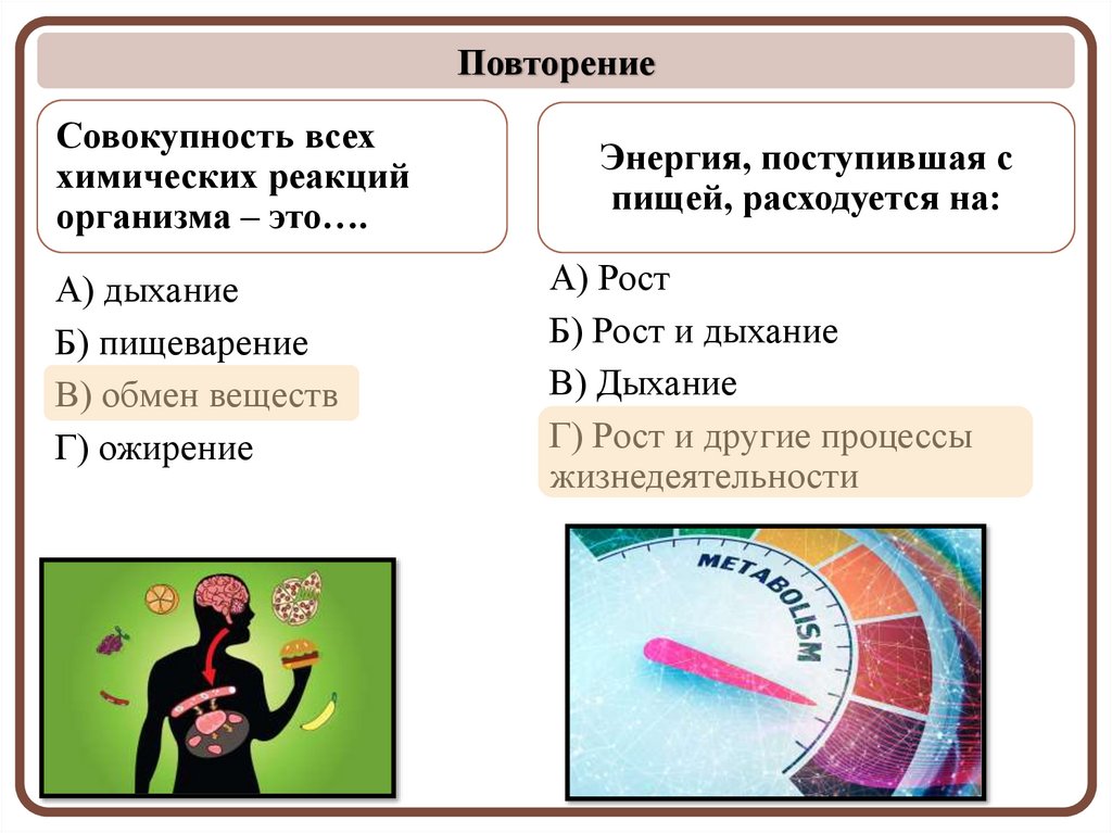 Совокупность всех химических реакций организма – это….