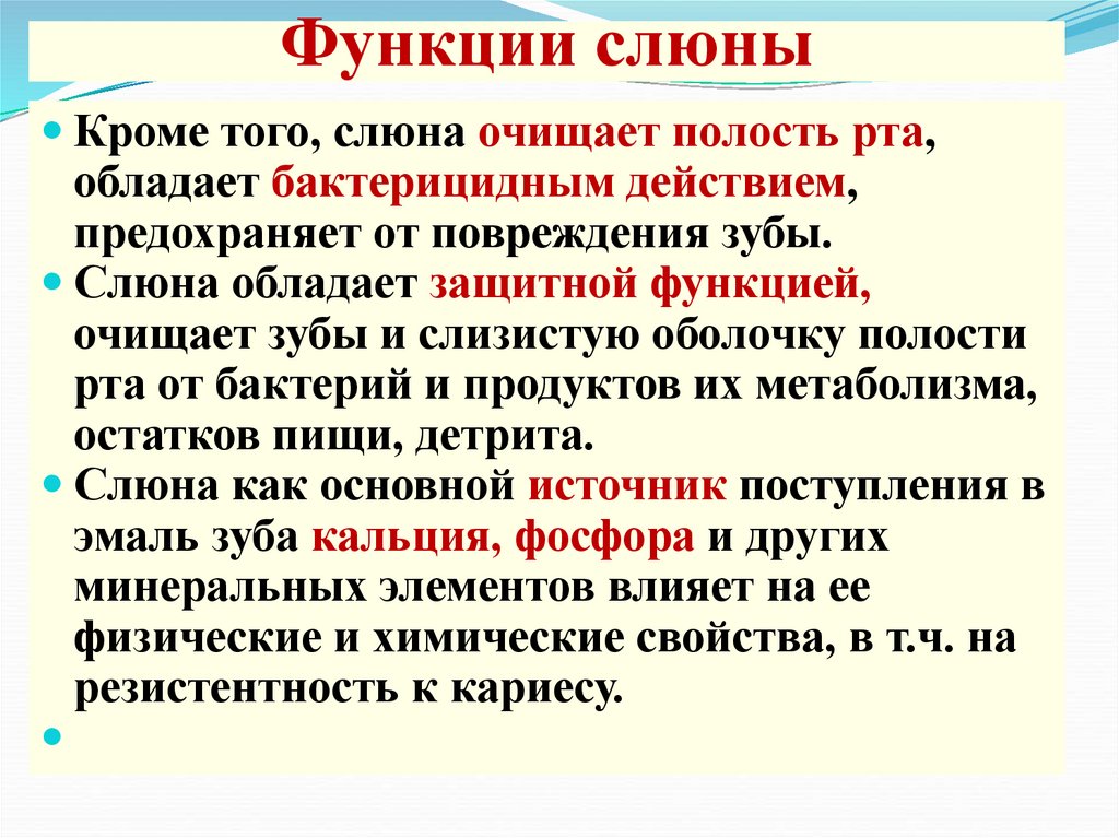 Функции слюны