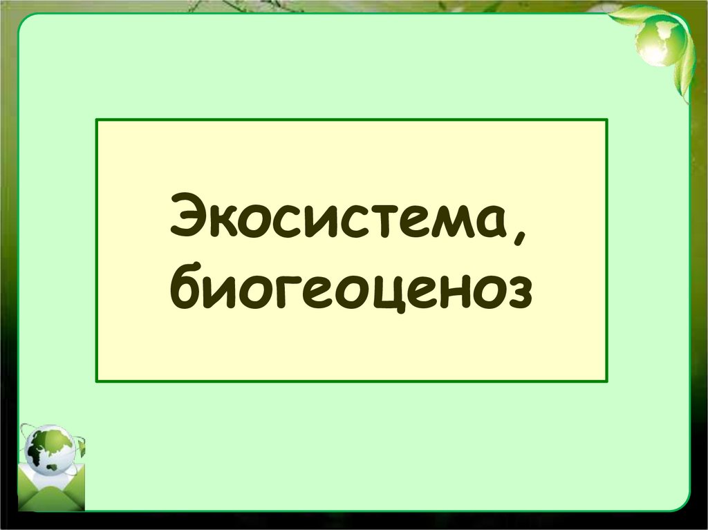 Экосистема, биогеоценоз