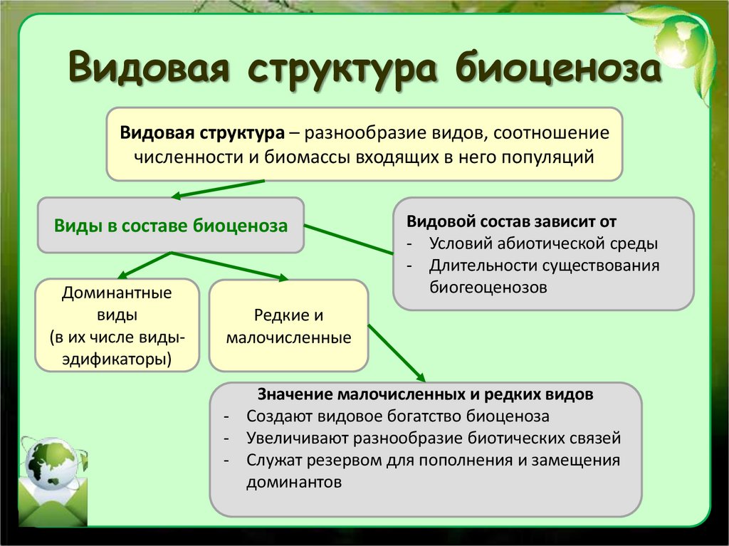 Видовая структура биоценоза